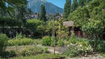 A garden with a wooden structure, surrounded by lush greenery and a mountain in the background.