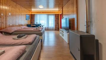 1 chambre, bureau, fer et planche Ă repasser, lit parapluie