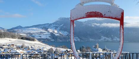 Vista desde la propiedad