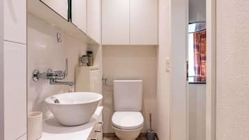 Regadera, secadora de cabello, toallas, shampoo