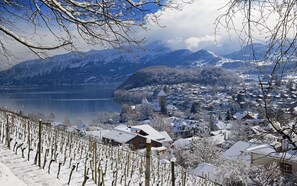 Miscellaneous - Lake Thun View Apartment|Terrace + Near Interlaken (Spiez)