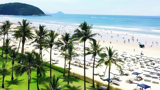 A beach with palm trees, umbrellas, and a clear view of the ocean. - 200m da praia c piscina e churrasqueira (Bertioga)