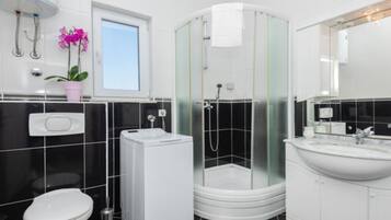 Shower, hair dryer