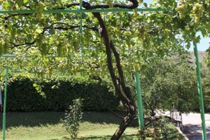 Miscellaneous - Elez Serenity Guesthouse - Twin room 1 (Medugorje)