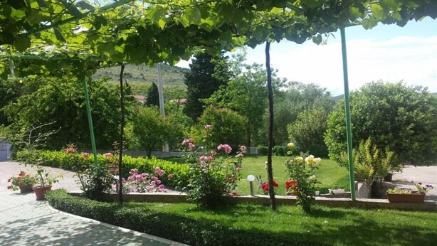 Ein Garten mit befestigtem Weg, verschiedenen blühenden Pflanzen und einer Rasenfläche.