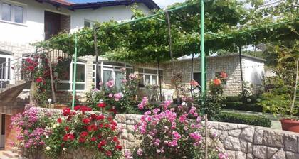 Elez Serenity Guesthouse - Twin room 7