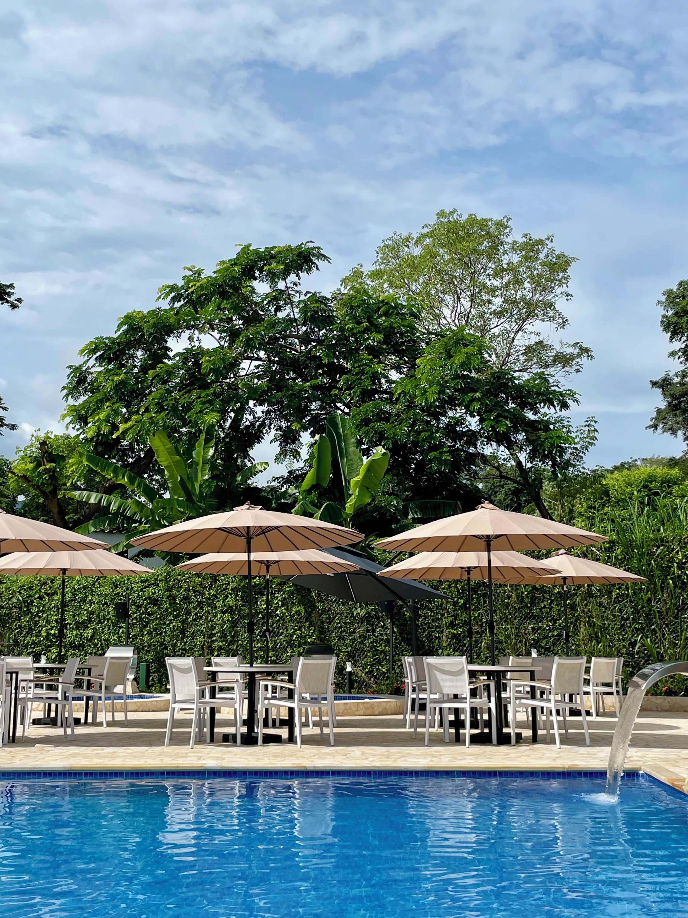 A poolside area with lounge chairs and umbrellas, surrounded by lush greenery and trees.