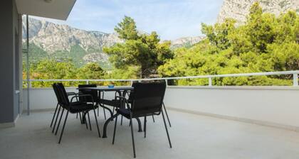 Apartments Despot Zaostrog