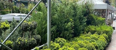 Enceinte de lâhĂ©bergement