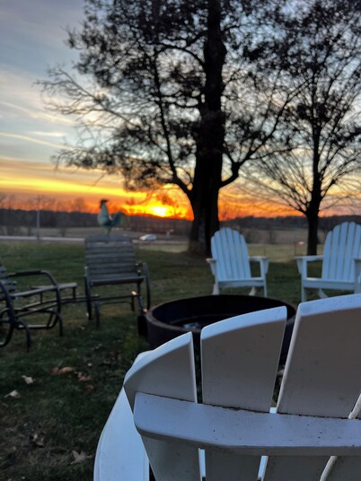 8 Acre Lower-Level Hobby Farm Getaway