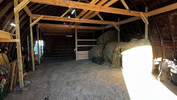 Área da propriedade