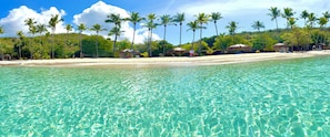 Een strand met helder turquoise water, palmbomen en hutten met rieten daken.