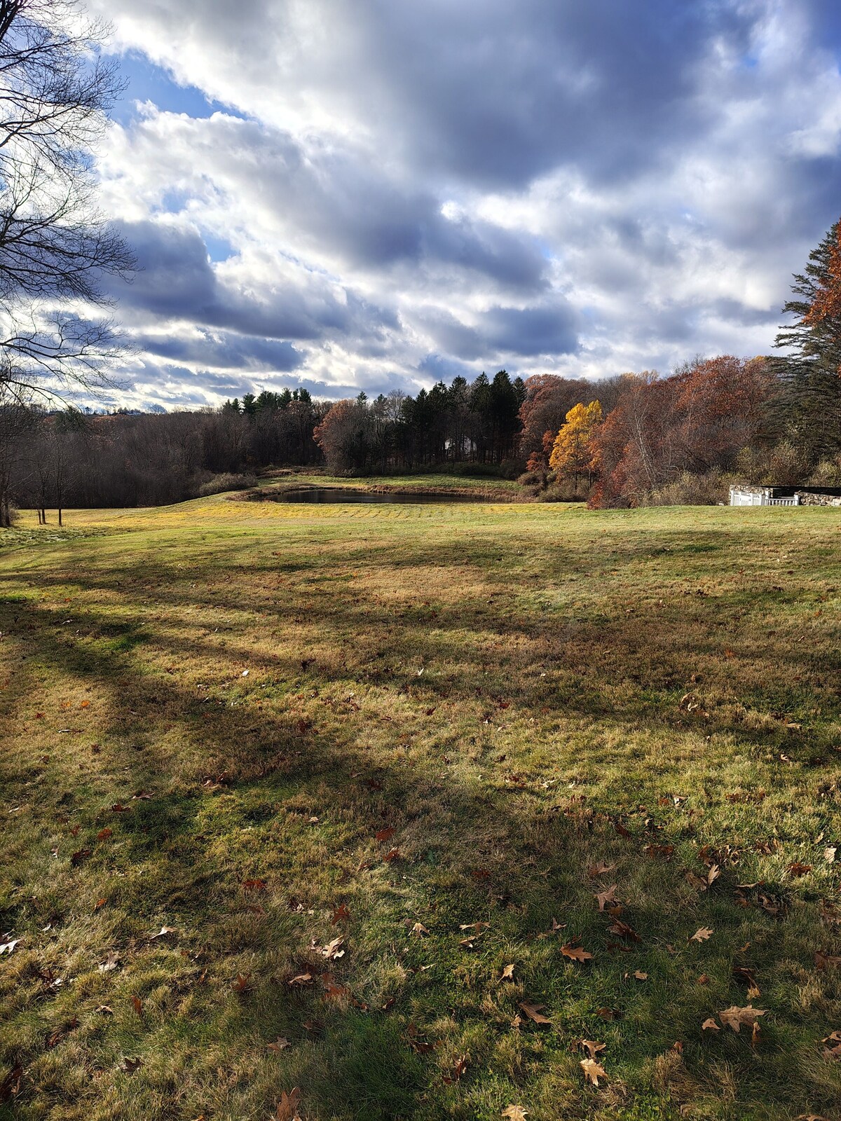 Imagem do perfil do anfitrião