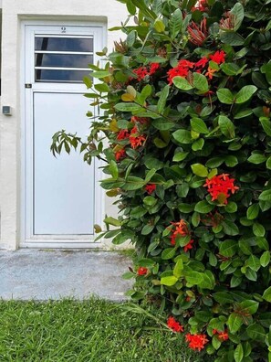 Detalle exterior