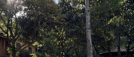 2 piscines extérieures