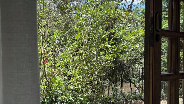 A view through an open window with a wooden frame, revealing a lush garden with various trees and shrubs. - Pousada Roca (Ibiúna)