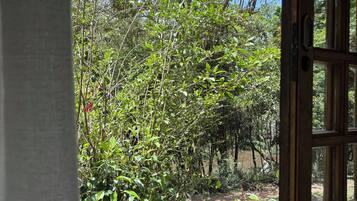 Room, Lanai, Lake View