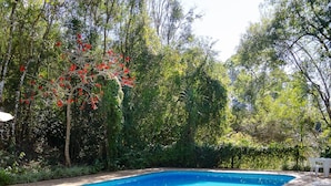 A swimming pool surrounded by lush greenery and trees. - Pousada Roca (Ibiúna)