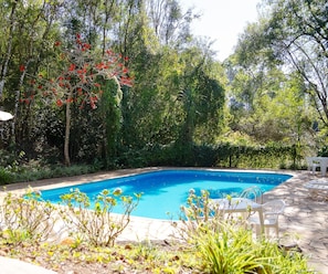 A swimming pool surrounded by lush greenery and trees. - Pousada Roca (Ibiúna)