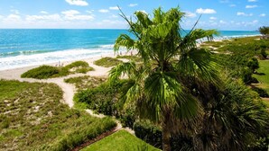 A coastal landscape with a palm tree, beach, and ocean. - Beachfront Vacation Rental With Full Gulf View (Longboat Key)