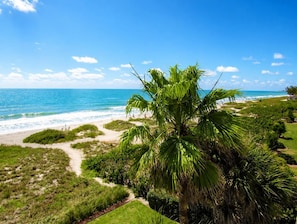A coastal landscape with a palm tree, beach, and ocean. - Beachfront Vacation Rental With Full Gulf View (Longboat Key)