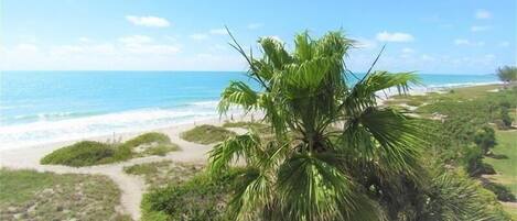 Beach nearby, sun loungers