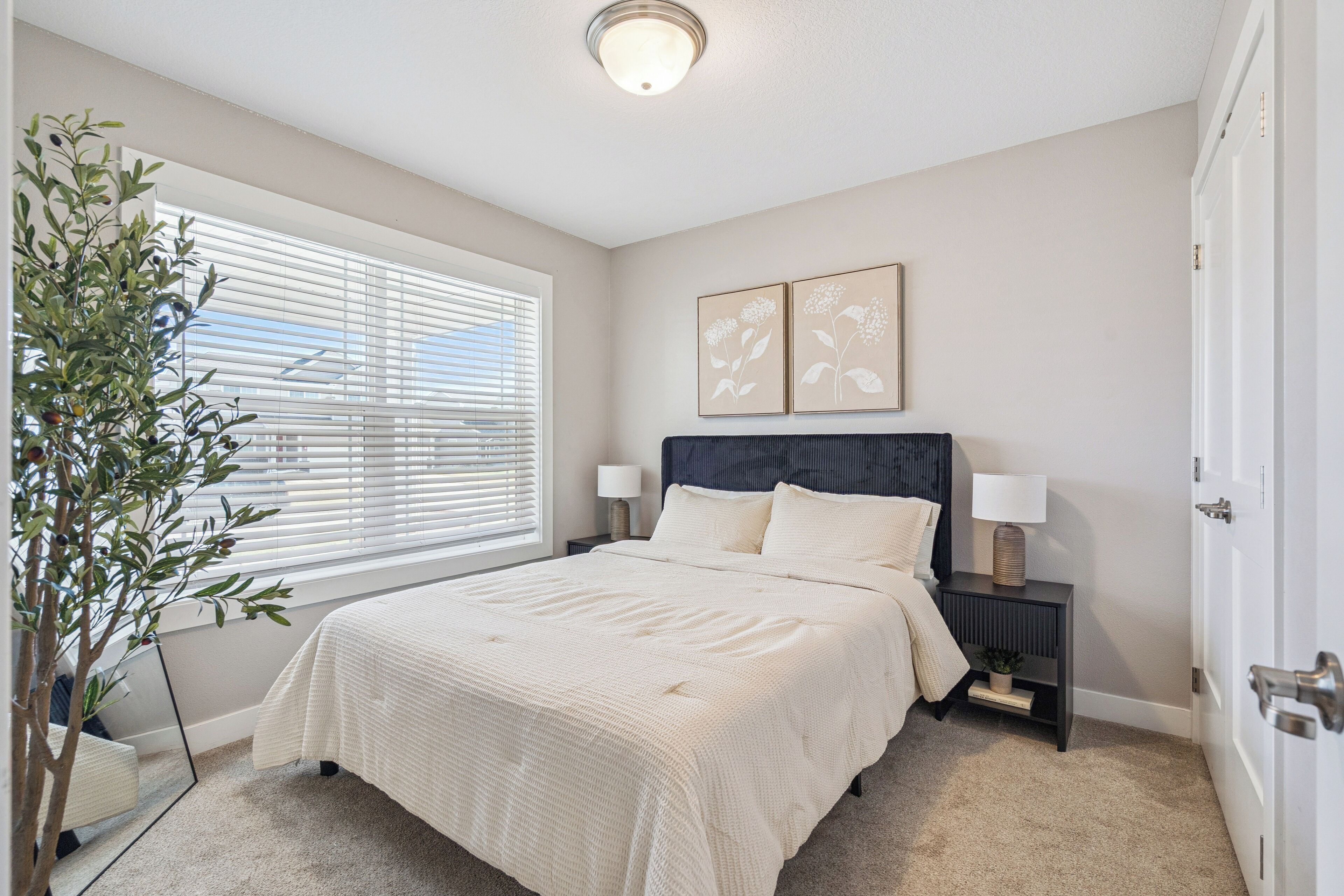 Une chambre à coucher avec un grand lit, des lampes de chevet, une table de chevet, un miroir et une plante en pot.