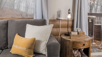 TV connectée, cheminée, livres, chaßne hi-fi