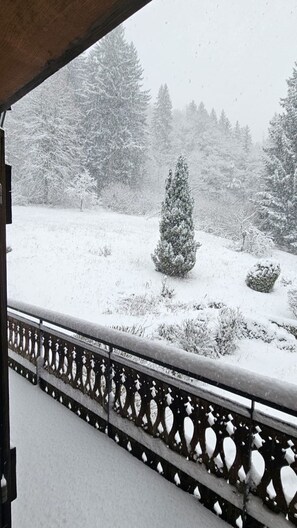 A snowy landscape with a snow-covered tree and bushes, viewed from a balcony with a decorative railing.