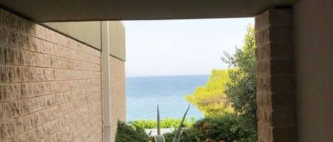 Un balcón con vista al mar, una planta en maceta y un muro de ladrillo.