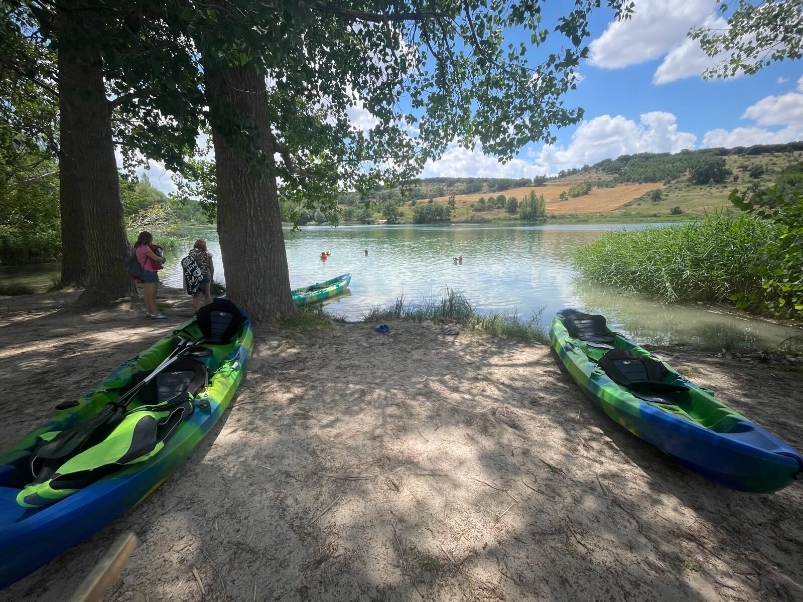 Escena junto al lago con kayaks y una persona de pie cerca de un árbol.