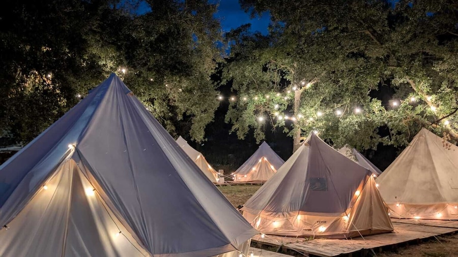Glamping la bellota
