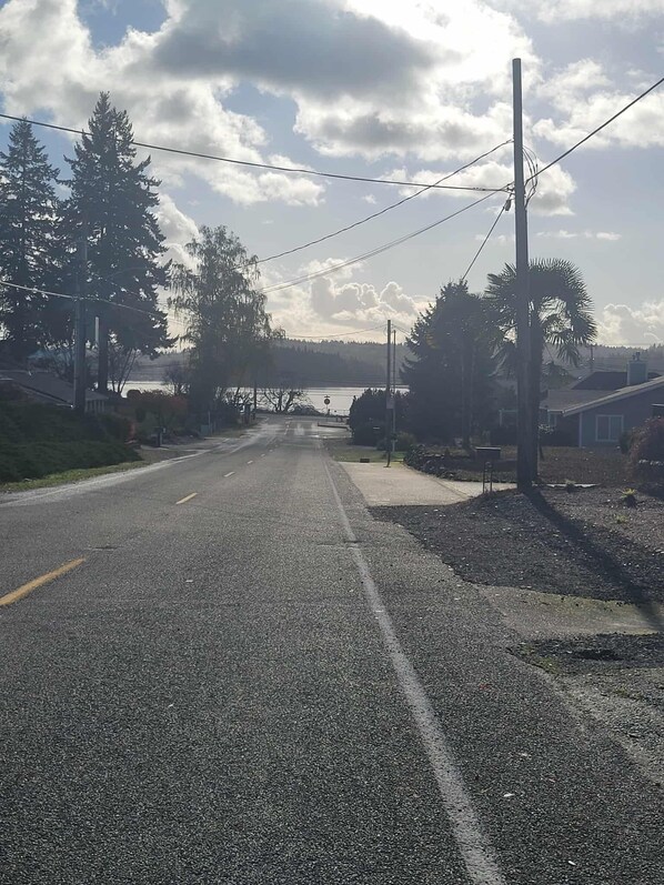 A road with trees and utility poles, leading to a body of water.