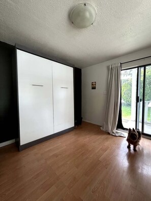 A room with a large wardrobe, a sliding glass door, and a dog.