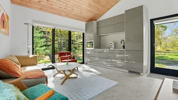 Smart TV, fireplace, stereo