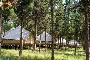 Exterior - Wellness Retreat w/Spa & Massage | Peaceful Forest Surroundings | Dining Onsite (Mafra)