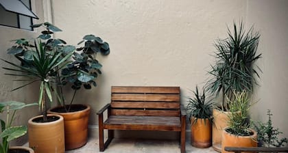 Full House in Oaxaca with Parking Two blocks from the Zócalo of Oaxaca!