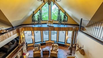 TV, fireplace, books