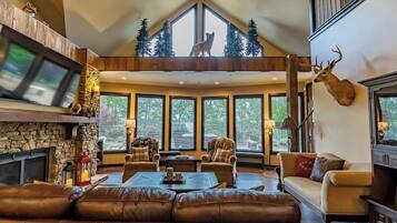 Televisio, takka, kirjoja