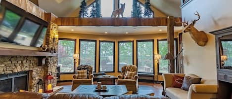 TV, fireplace, books