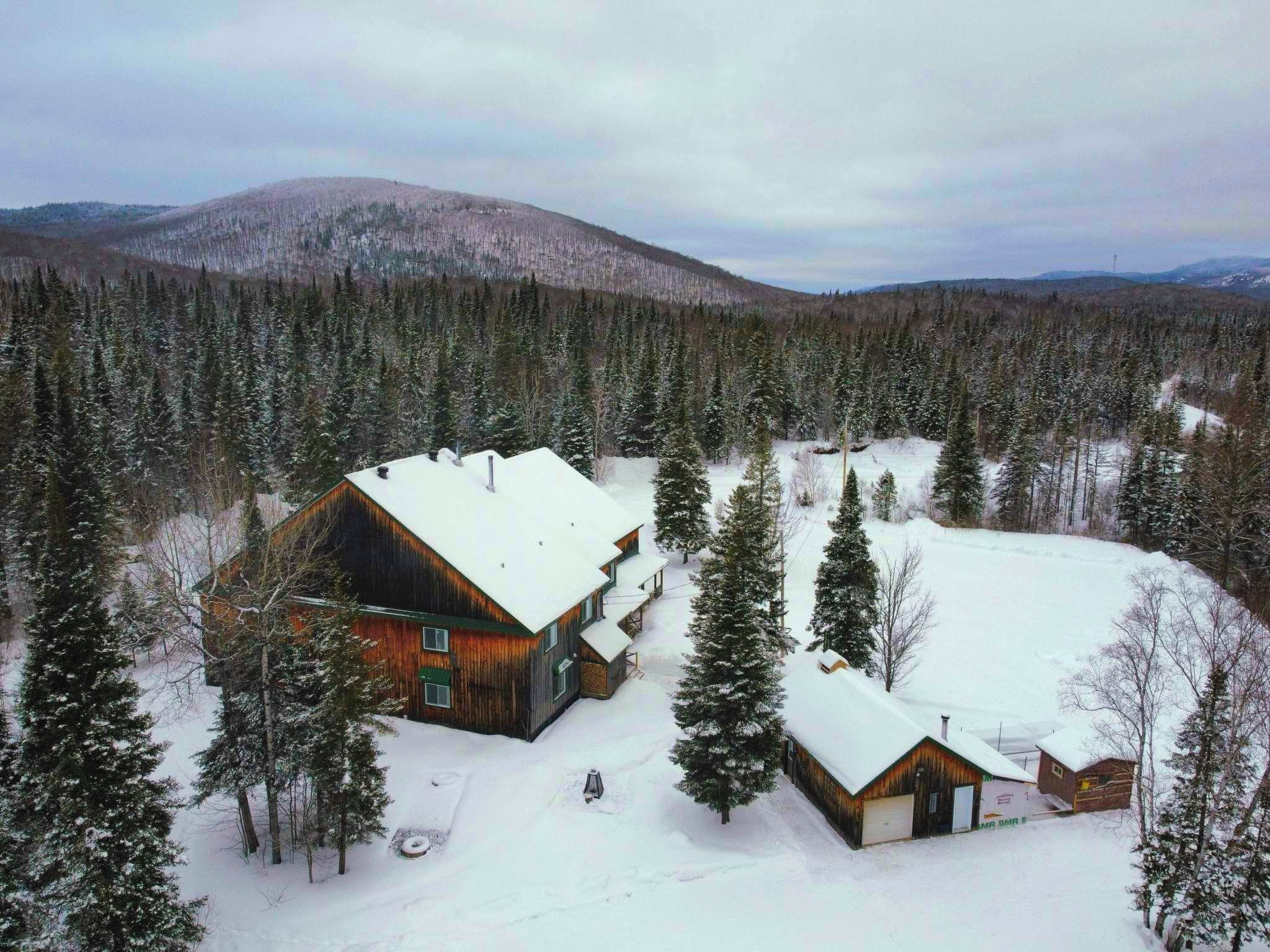 Una cabana envoltada de bosc i un paisatge cobert de neu.