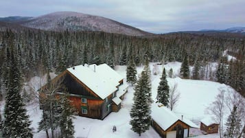 Una cabana envoltada de bosc i un paisatge cobert de neu.