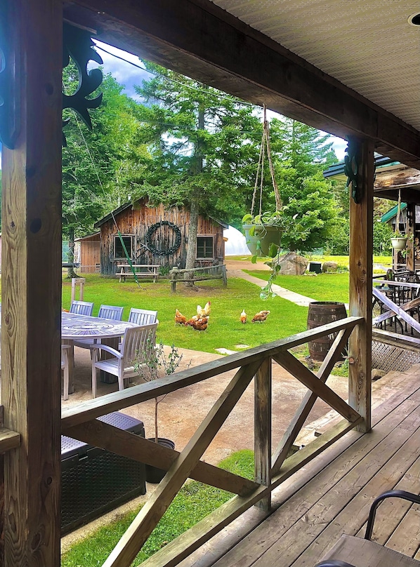 Restauration extérieure