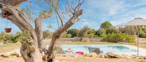 Una piscina con sillones de descanso, una pérgola y un árbol grande.