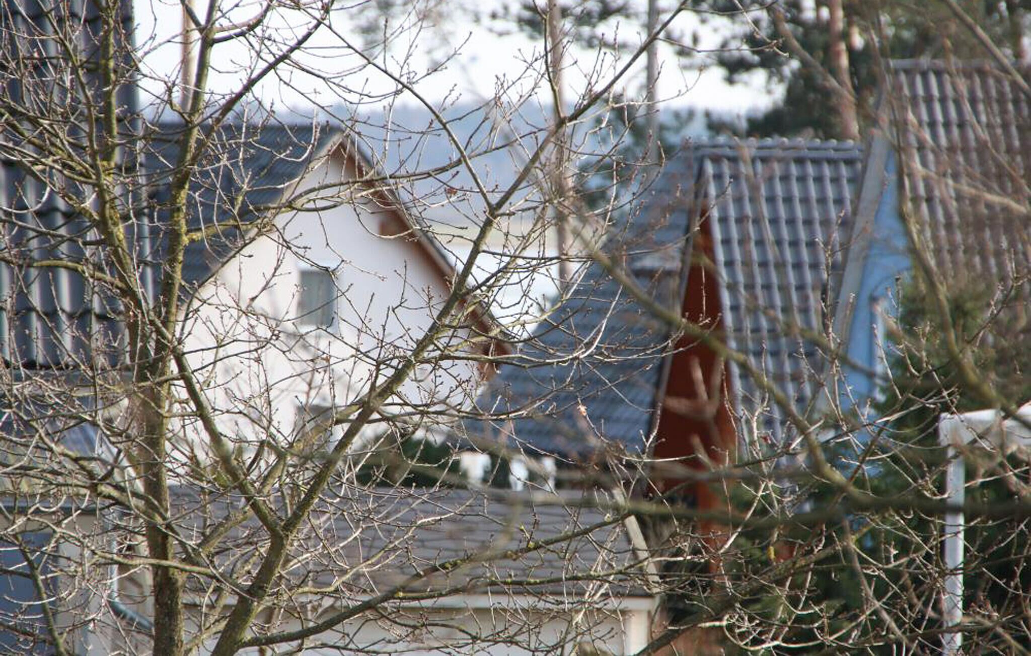 A house partially obscured by branches.