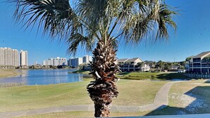Uitzicht op een golfbaan met een palmbom in de voorgrond, een waterpartij en gebouwen op de achtergrond.