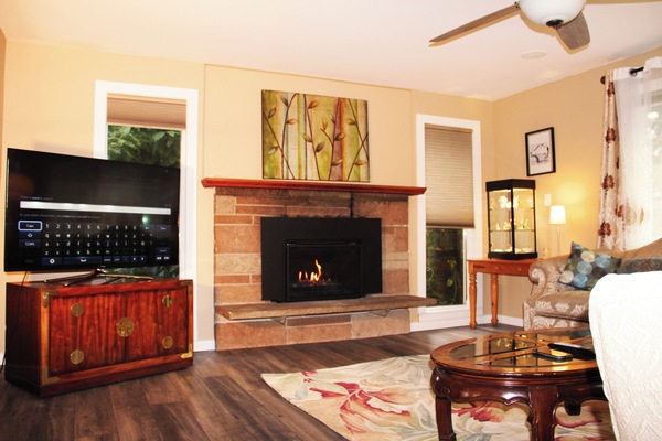 Clean gas fireplace with blue marble glasses. Extra-large and comfy couches.