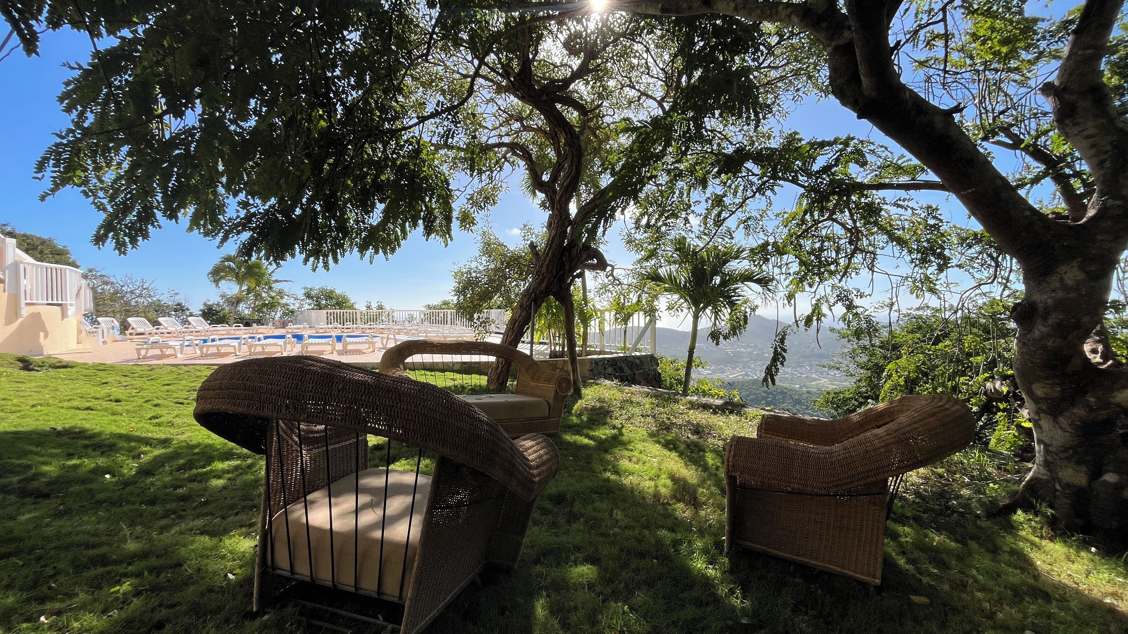 Un espace aménagé au bord de la piscine, avec des meubles en osier placés sous un arbre, une piscine et une vue sur le paysage urbain.