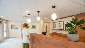 Un'area reception con una scrivania in legno, quadri appesi al muro e una pianta in vaso.