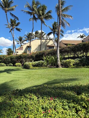 Property grounds - Incredibly roomy, adjacent to the best beaches/Wailea (Kihei)